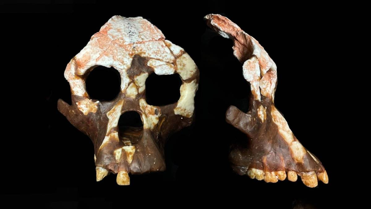 Sensational find in Israel will rewrite human history