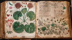 Exactly great mistery - VOYNICH MANUSCRIPT