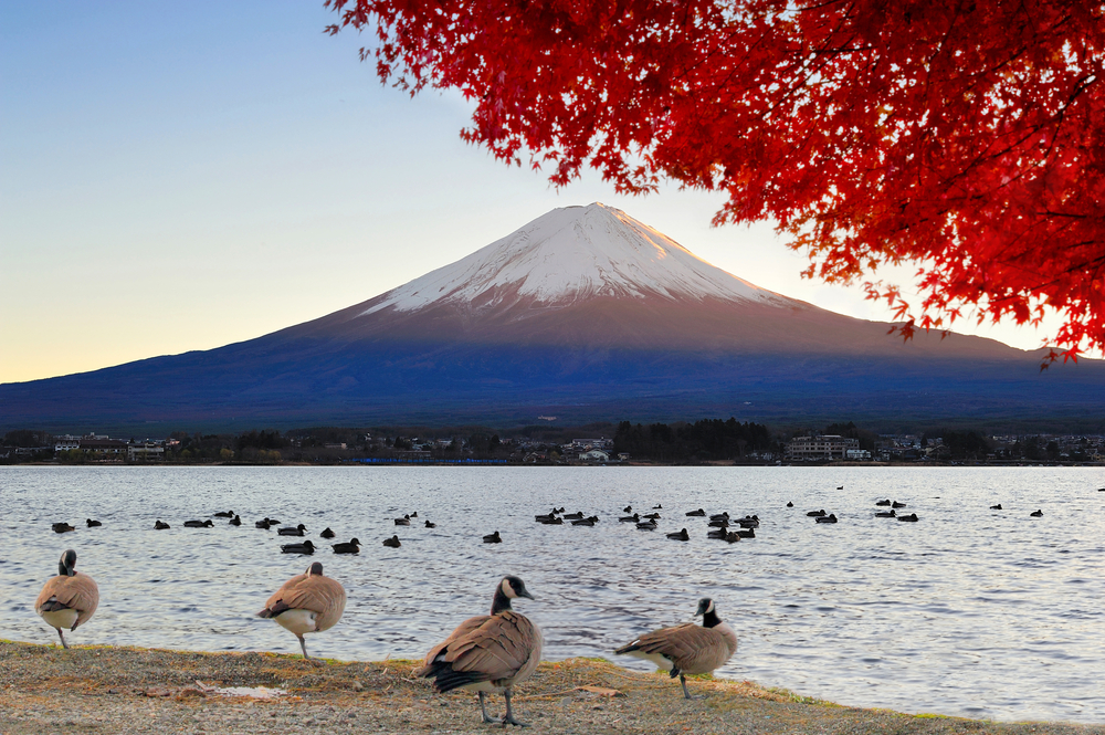 For the first time in recorded history, no snow had fallen by the end of October