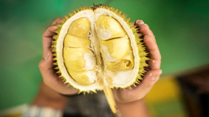 Exploring Exotic Delights: The Top 5 Rare Fruits from Around the Globe