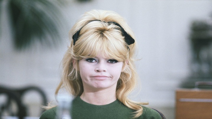 Top 12 Nice words of Brigitte Bardot (French Movie Star)